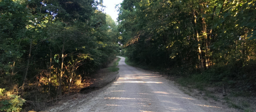Sunday Walk