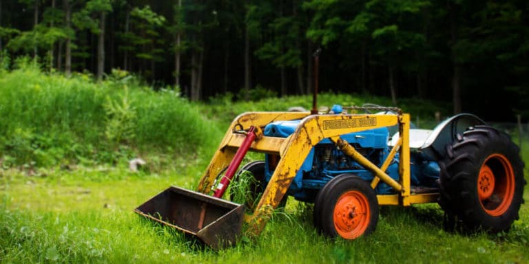 Sowing the Seeds of a Profitable Landscaping Firm