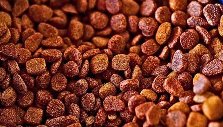 Iams Early Hires