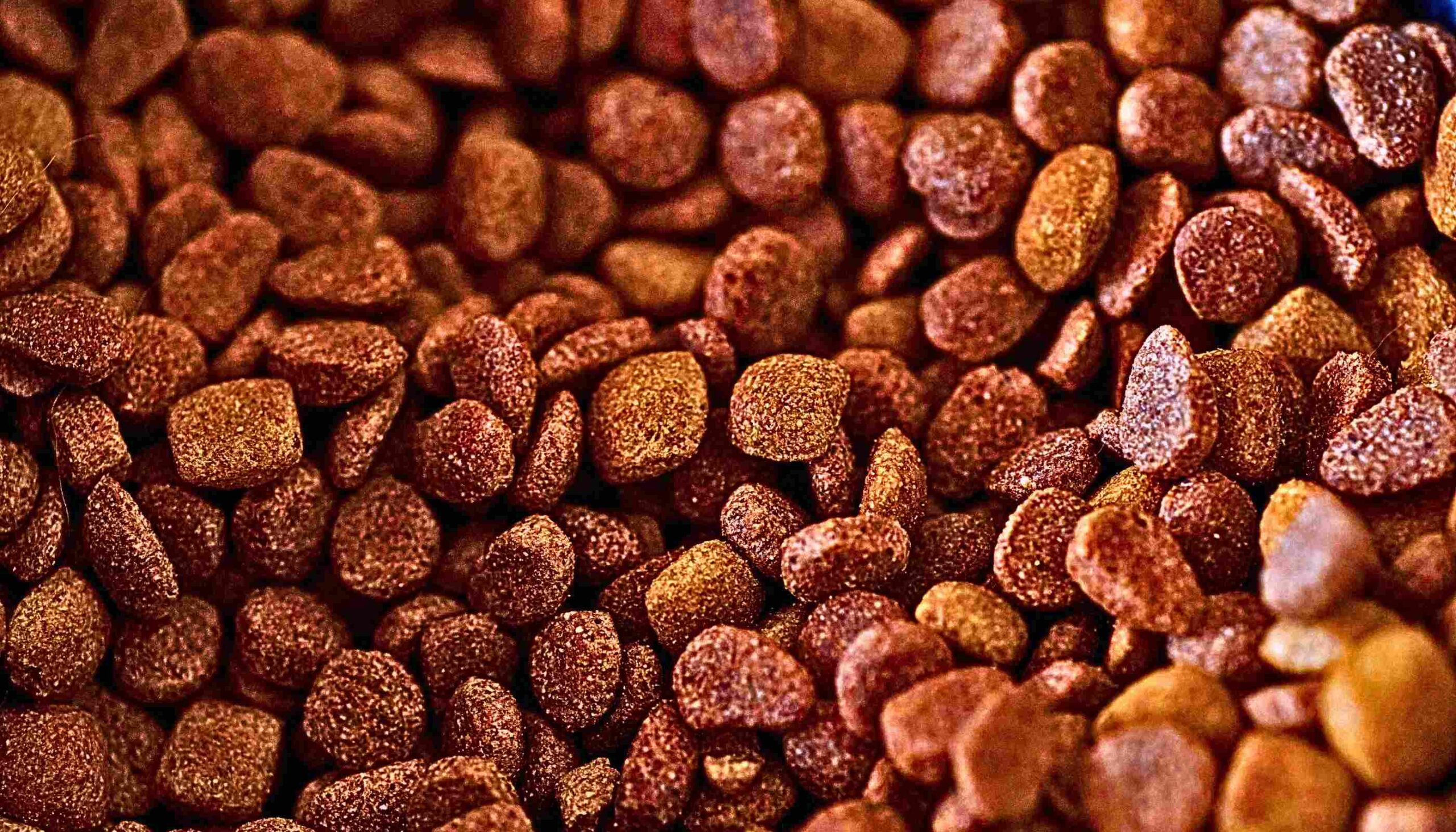 Iams Early Hires